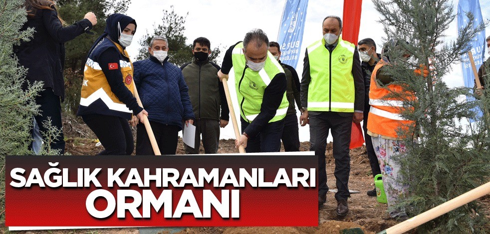 Sağlık Kahramanları Ormanı