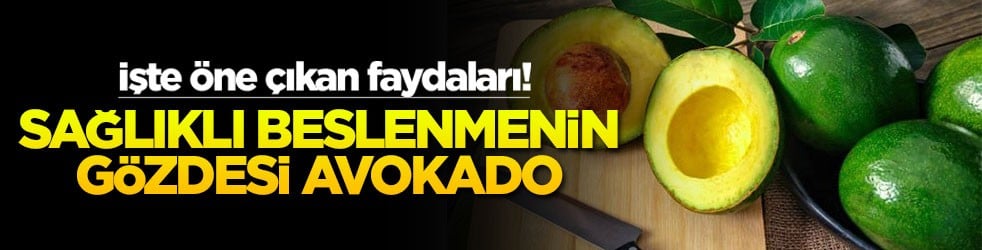 Sağlıklı beslenmenin gözdesi avokado: İşte öne çıkan faydaları