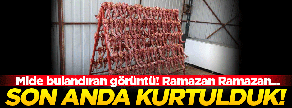 Sağlıksız koşullarda üretim yapan tesis mühürlendi