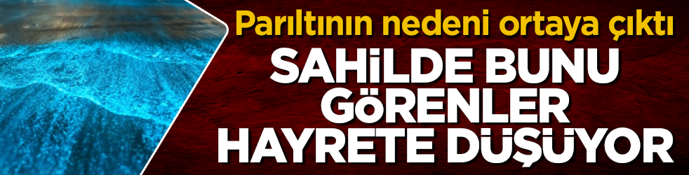 Sahilde bunu görenler hayrete düşüyor! Parıltının nedeni ortaya çıktı
