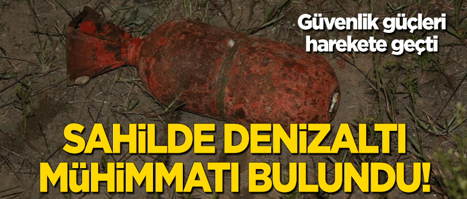 Sahilde denizaltı mühimmatı bulundu!
