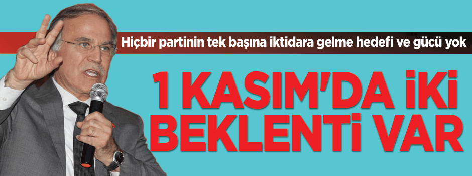 Şahin: '1 Kasım seçimleri sonucunda iki beklenti var'
