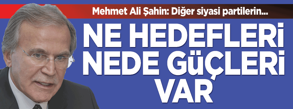 Şahin: Ne hedefleri, nede güçleri var