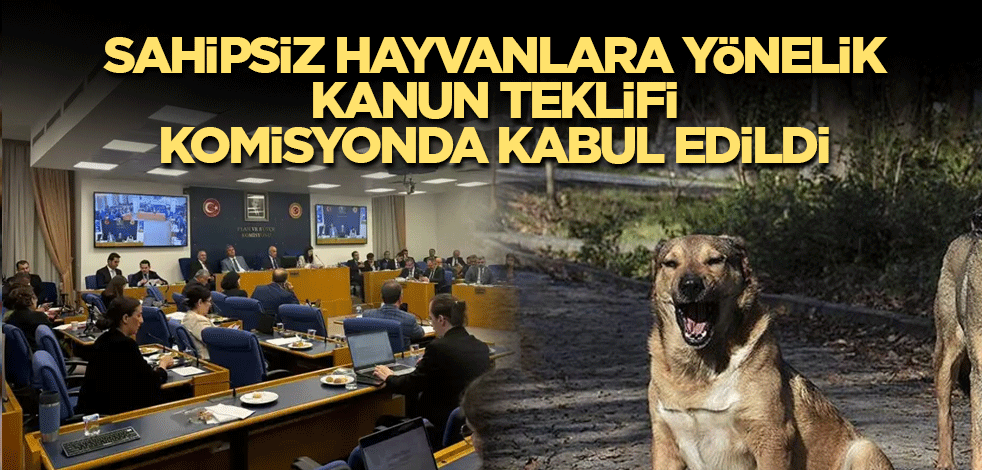 Sahipsiz hayvanlara yönelik kanun teklifi komisyonda kabul edildi