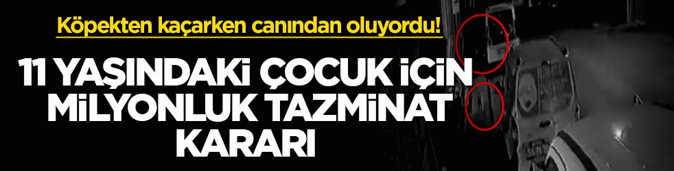 Sahipsiz köpekten kaçarken canından oluyordu! 11 yaşındaki çocuk için milyonluk tazminat kararı