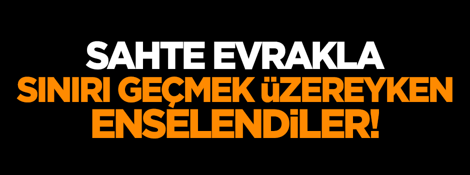 Sahte evrakla sınırı geçmek üzereyken enselendiler!