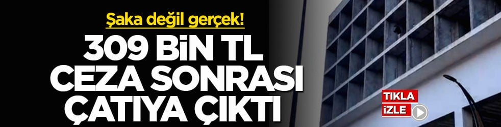 Şaka değil gerçek! 309 bin TL ceza sonrası çatıya çıktı