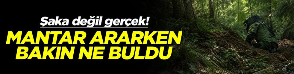 Şaka değil gerçek! Mantar ararken bakın ne buldu
