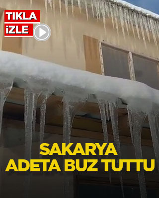 Sakarya adeta buz tuttu