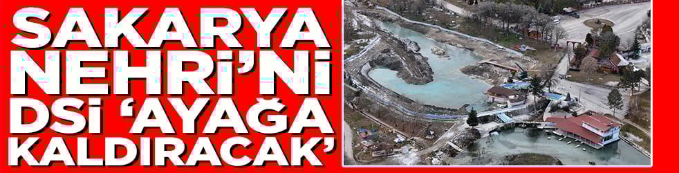 Sakarya Nehri'ni DSİ 'Ayağa kaldıracak'