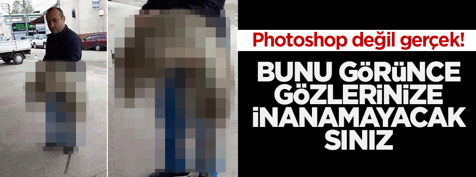 Sakarya'da dev fareler esnafı bıktırdı