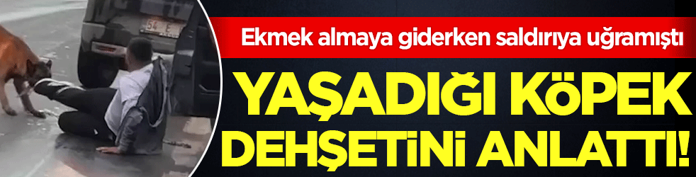 Sakarya’da ekmek almaya giderken saldırıya uğramıştı: Yaşadığı köpek dehşetini anlattı