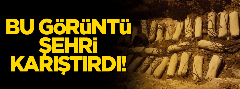 Sakarya'daki bu görüntü şehri karıştırdı!
