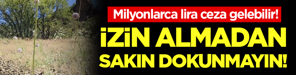 Sakın izinsiz el sürmeyin: Milyonlarca lira ceza alabilirsiniz!