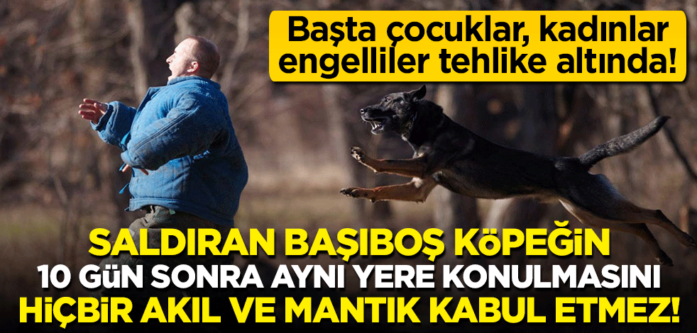 "Saldıran başıboş köpeğin 10 gün sonra aynı yere konulmasını hiçbir akıl ve mantık kabul etmez!"