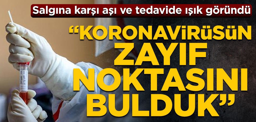 Salgına karşı aşı ve tedavide ışık göründü! "Koronavirüsün zayıf noktasını bulduk"