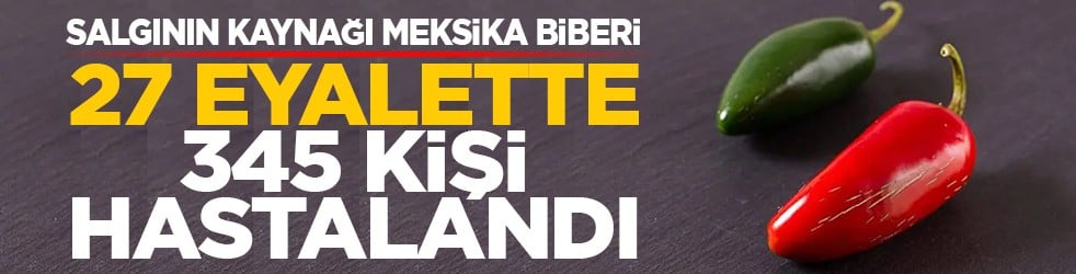Meksika biberinden salgın kaynağı: 27 eyalette 345 kişi hastalandı