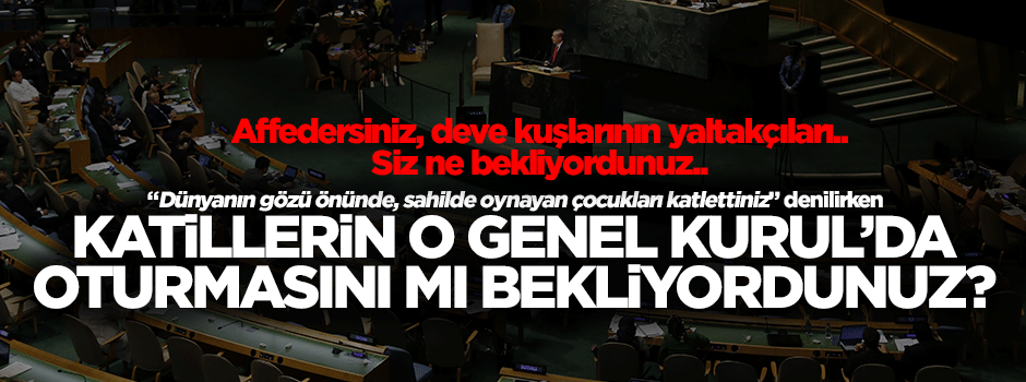 Salon boşaltsalar ne olacak BM’de o sözler kayda geçti!