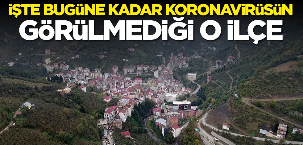 Şalpazarı ilçesinde bugüne kadar koronavirüs vakasına hiç rastlanmadı