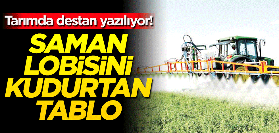 Saman lobisini kudurtan tablo
