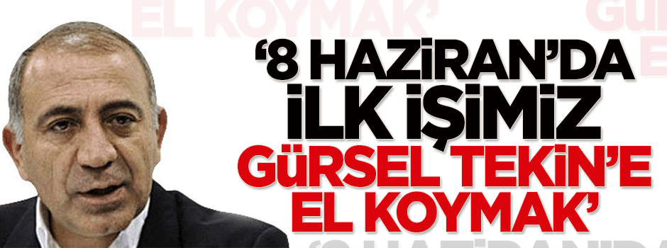 AK Parti'li vekil: 8 Haziran'da ilk işimiz Gürsel Tekin'e el koymak