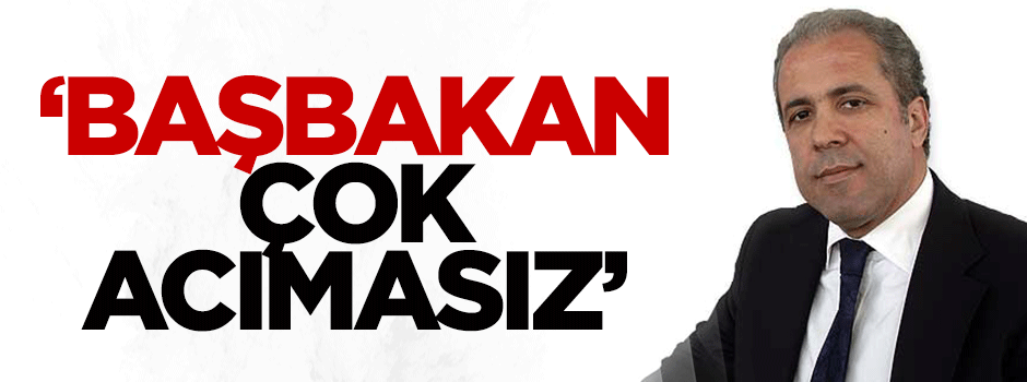 Şamil Tayyar: Başbakan çok acımasız(!)