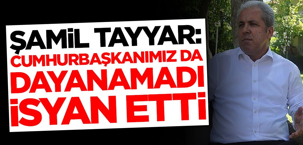 Şamil Tayyar: Cumhurbaşkanımız da dayanamadı, isyan etti