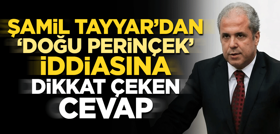 Şamil Tayyar 'Doğu Perinçek' iddiasına cevap verdi: İlgisi yok