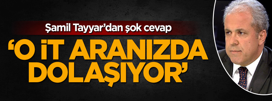 Şamil Tayyar'dan CHP'li Özel'e şok cevap: O it aranızda dolaşıyor
