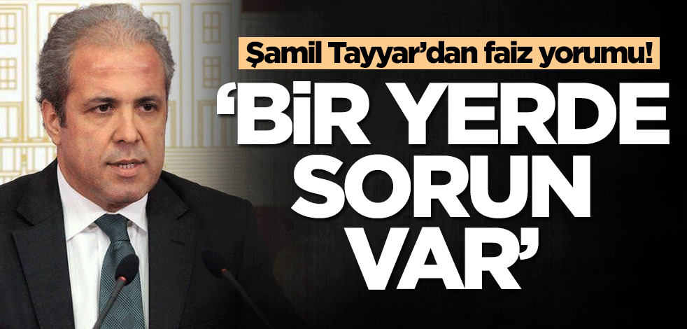 Şamil Tayyar’dan faiz yorumu: Bir yerde sorun var