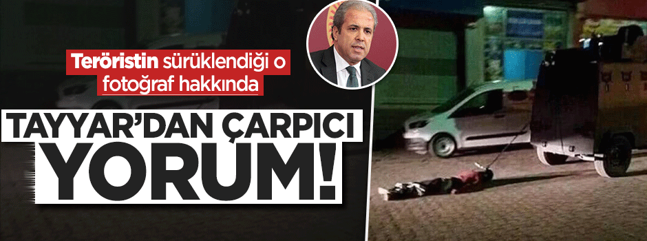 Şamil Tayyar'dan o fotoğrafa çarpıcı yorum!