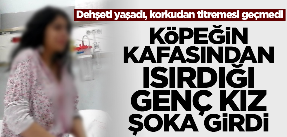 Samsun'da dehşet! Köpeğin kafasından ısırdığı genç kız şoka girdi