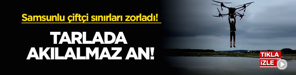 Samsunlu çiftçi sınırları zorladı! Tarlada akılalmaz an!