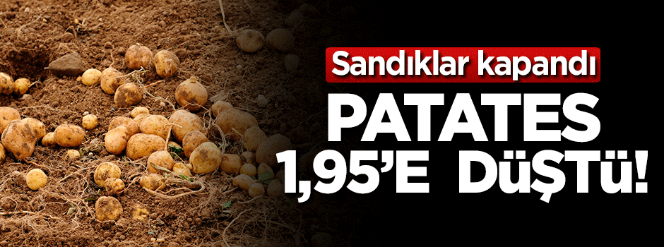 Sandıklar kapandı... Patates 1,95'e düştü!