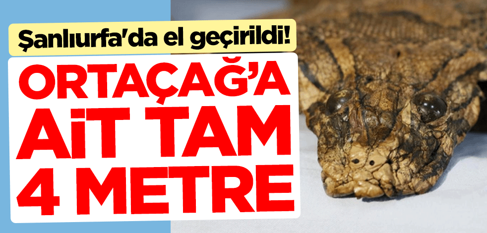 Şanlıurfa'da el geçirildi! Ortaçağ'a ait ve tam 4 metre uzunluğunda
