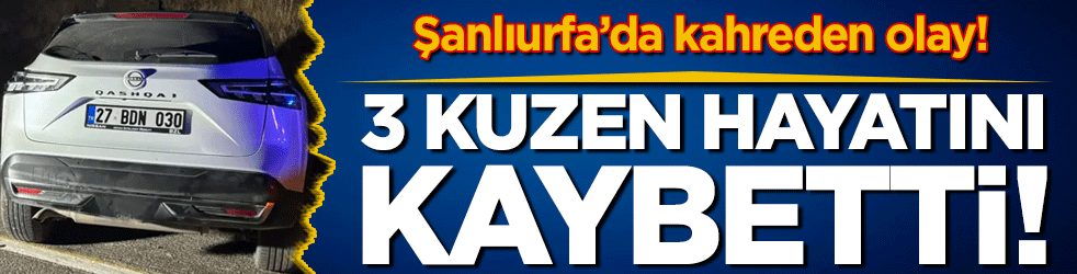 Şanlıurfa'da korkunç olay: 3 kuzen hayatını kaybetti!