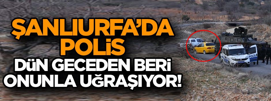 Şanlıurfa’da polis dün geceden beri onunla uğraşıyor!