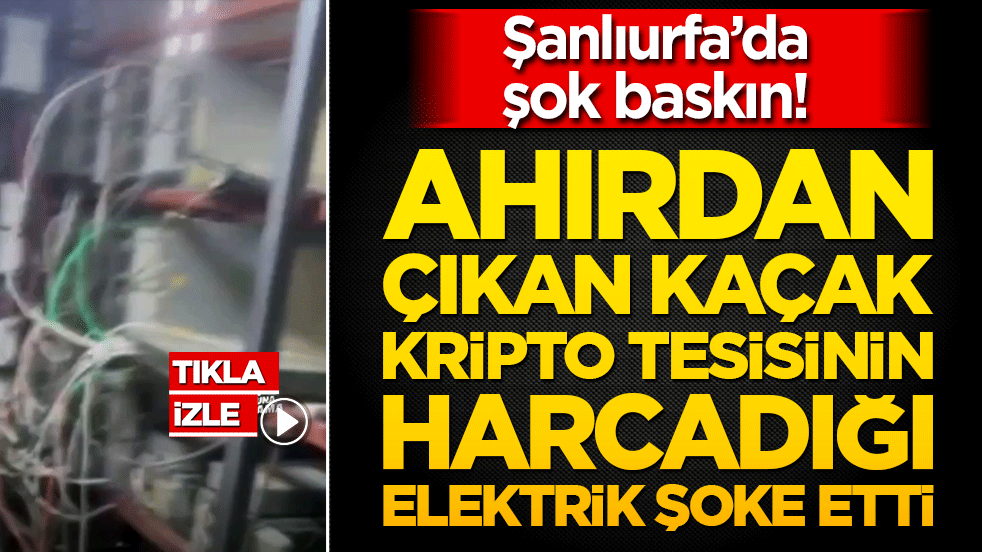 Şanlıurfa’da şok baskın! Ahırdan çıkan kaçak kripto tesis herkesi hayrete düşürdü