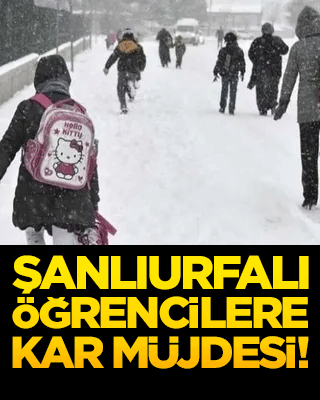 Şanlıurfalı öğrencilere kar müjdesi! İki ilçede okullar tatil edildi