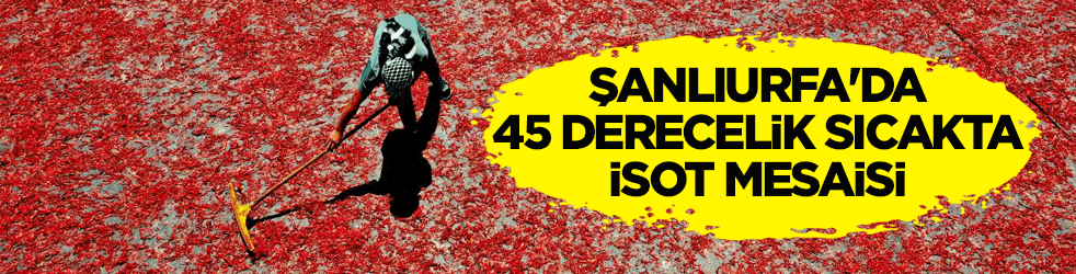 Şanlıurfa'nın kavurucu sıcağı biberleri lezzetlendiriyor! 45 derecelik sıcakta isot mesaisi