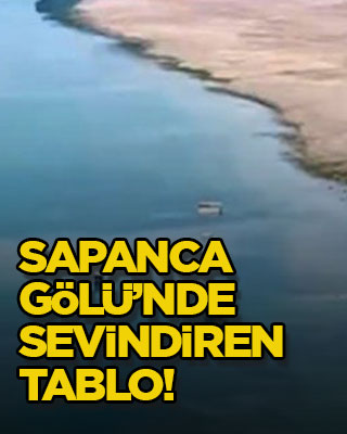 Sapanca Gölü’nde sevindiren tablo!