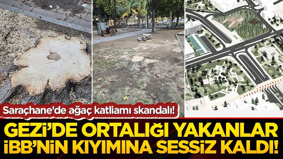 Saraçhane’de ağaç katliamı skandalı! Gezi’de ortalığı yakanlar İBB’nin kıyımına sessiz kaldı!