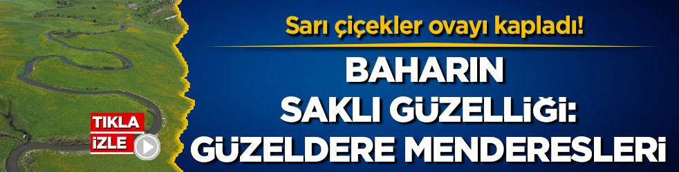 Sarı çiçekler ovayı kapladı! Baharın saklı güzelliği: Güzeldere Menderesleri