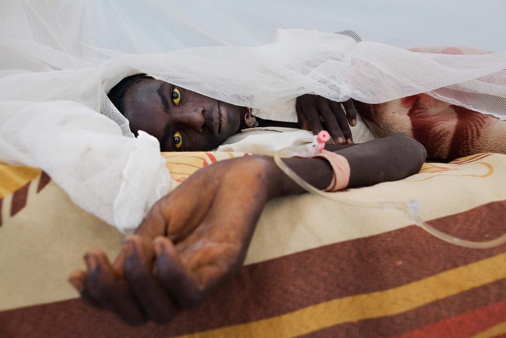 Sarı humma nasıl bulaşır? Sarı humma salgını nasıl yayılır?