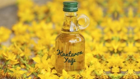 Sarı kantaron yağı ne işe yarar? Sarı kantaron yağı faydaları ve zararları