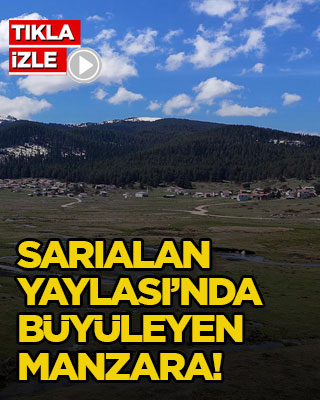 Sarıalan Yaylası’nda büyüleyen manzara!
