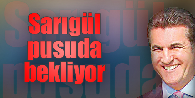 Sarıgül pusuda bekliyor