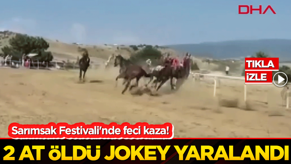Sarımsak Festivali'nde feci kaza! 2 at öldü jokey yaralandı