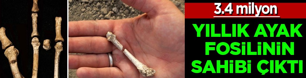  3.4 milyon yıllık ayak fosilinin sahibi ortaya çıktı! Şaşırtan keşif