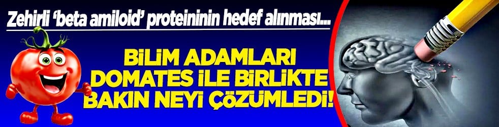 Şaşırtıcı bilimsel sır: Beyin dostu bilinen 'Domates' Alzheimer düşmanı! Bilim yardımcı taktiği bu diyor